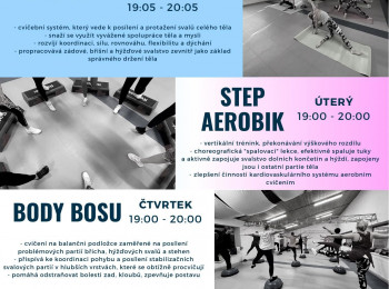 Cvičení pro dospělé - Step aerobik