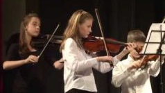 Novoroční koncert základní umělecké školy - Rychnov nad Kněžnou